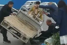 最美婚纱照！河北沙河90后新人拍婚纱照遇大爷三轮车侧翻，新娘卷起婚纱帮忙捡拾散落蔬菜图片