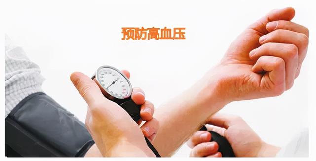 蛋白质的兄弟——神奇的肽