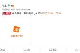 淘宝启用全新slogan：太好逛了吧图片