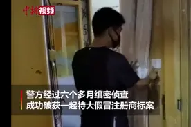 涉案过亿！假LV包竟能扫出官网链接，还比真品先上市？警方揭露背后玄机图片