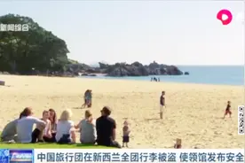 中国旅行团在新西兰全团行李被盗，使领馆发布安全提醒视频封面