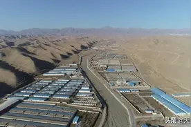 才让当智：育肥白牦牛奔富路图片