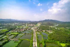 蒲坑鱼成了网红，产值1000万元！三水南山这条村做到了图片