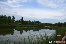 濮阳金堤河国家湿地公园：醉美湿地 云水风情图片