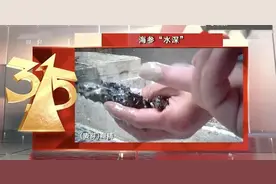 被热议的海参，真能防癌治癌？营养专家是这么说的图片