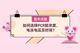 《鼠年说鼠》第十二期：如何选择PCR胶浓度、电泳电压及时间？图片