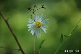 《与领导一起尿尿》解读图片
