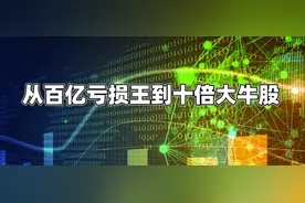 从百亿亏损王到十倍大牛股，传奇背后A股为何危机重重？图片