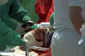 车神殒命赛道要回归F1  你知道它的特殊身份吗？图片