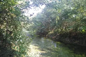 探访襄阳团山镇邓城村，曾为邓国国都，邓县县城，如今遗迹犹存图片