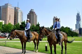 城市综合实力30强排名——第15名大连图片