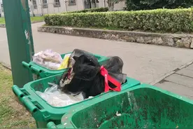 工科大学校园“舔狗”盛行，丧失尊严真的值得吗？图片