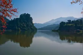 特适合养老的南方小城 森林茂密养肺圣地 房价1700气候温暖物价低图片