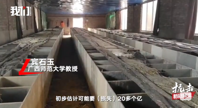 鸡皮疙瘩2在线观看带字
