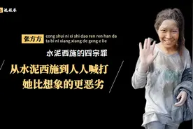 张方方的平地"翻船"记：从水泥西施到人人喊打，她比想象的更恶劣图片