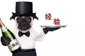 磷酸化抗体使用建议，听听CST专家怎么说图片