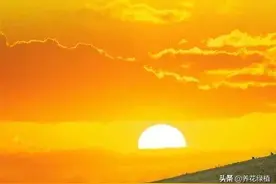 二月初一，中和节。是太阳诞辰，也就是太阳生日，看看有哪些习俗图片