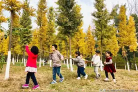 教育观察｜选择钱包痛还是心痛，带你近距离观察六所幼儿园的一天图片