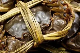 被人上锅煎炸烹煮的大闸蟹，会疼吗？图片