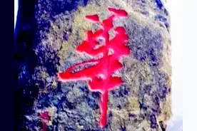 书法“华山”出自谁手？曾经的陕西两书法家打官司争字始末图片