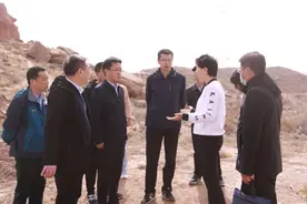 甘肃省文物局实地调研白银市岩画保护管理工作图片