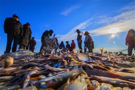 这个冬天，千万不要来东北旅游！我怕你会爱上ta图片