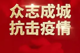 南阳市镇平县抗击新冠肺炎疫情工作综述：众志成城凝合力 共克时艰战疫情图片