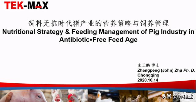 李曼大会听课笔记连载（二）（母猪营养、生长速度、应激、无抗）