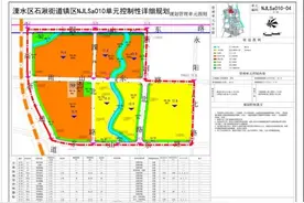 《溧水区石湫街道镇区控制性详细规划》NJLSa010-04、05规划管理单元图则编制（公众意见征询）图片