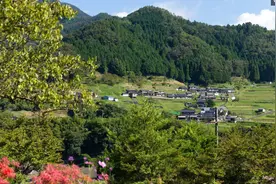 对比中国的农村，再看看日本的农村，差距真的太大了图片