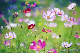 发觉没有无论新旧，五月都是一个槽点满满的月份，这是为什么呢？图片