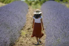 一个爱擦香水的女人，似水多情图片