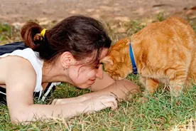 别误会，猫其实很爱你！这11个标志性的小动作出卖了它图片