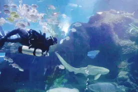 聊城这些网红打卡地，让你带娃休闲两不误！图片