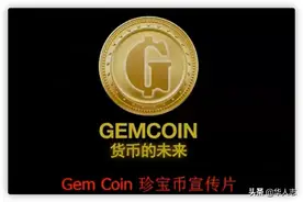 骗了7万华人，敛财1.47亿美元，深扒珍宝币的覆灭史图片