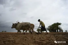 太不容易！缅甸大量工人被迫返乡，多位工人亲述返乡后的艰难生活图片