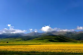 【河湟文化】饮食类——发菜图片