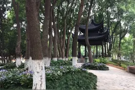 哪个省的省政府院子最有特点？图片