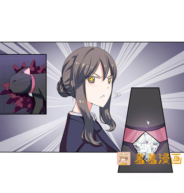 夜路走多了，竟捡到宝，带着巨钻的小黑猫一只