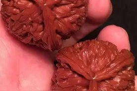 德云班主郭德纲的天价文玩核桃图片