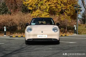 快评：首款配备动力电池液态热管理系统的长城欧拉好猫图片