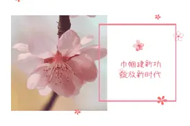 桃城区妇联举办农村妇女插花技术培训班图片