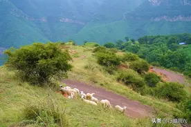 山西大山有个世外桃源，发现5户人家散居，几乎与世隔绝的生活图片