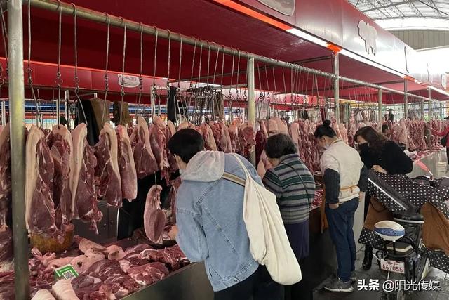 德阳今日猪价最新行情 德阳今日猪价最新行情