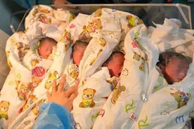 河南孕妈产下四胞胎后续：全家获捐20万嫌不够，希望“众筹养儿”图片