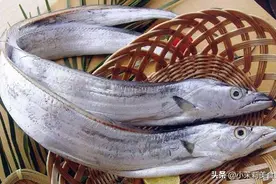 冬季进补多吃鱼肉，买鱼牢记“5买3不买”，选对鱼更营养更鲜美图片