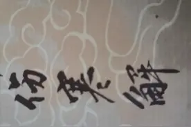 口渴，喝水不解渴；小便急，五苓散主之图片