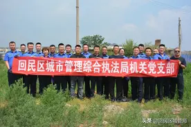 回民区城市管理综合执法局 参加拔除蒿草集中行动图片