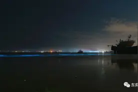 美成仙境！福建多地“蓝眼泪”大爆发！图片