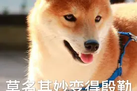 「搞笑段子」高中的时候，有一个对我们班很有偏见的老师图片